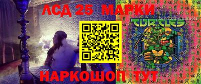 крисы Малгобек