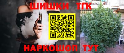 крисы Малгобек