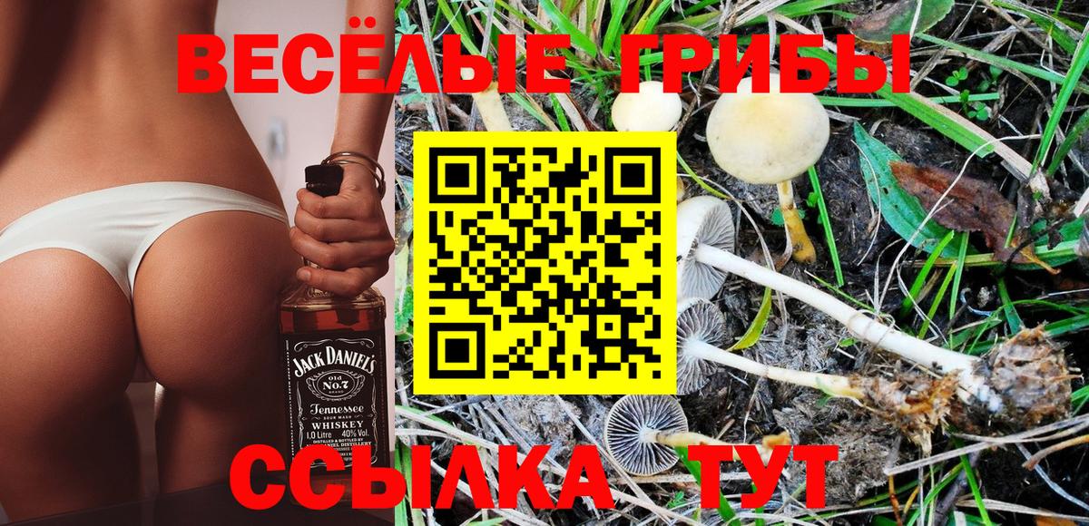 Галлюциногенные грибы MAGIC MUSHROOMS  Псилоцибиновые грибы прущие грибы  Верхняя Пышма  Вход с VPN 